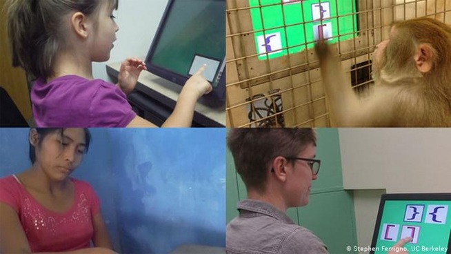 رویداد خبري آژانس