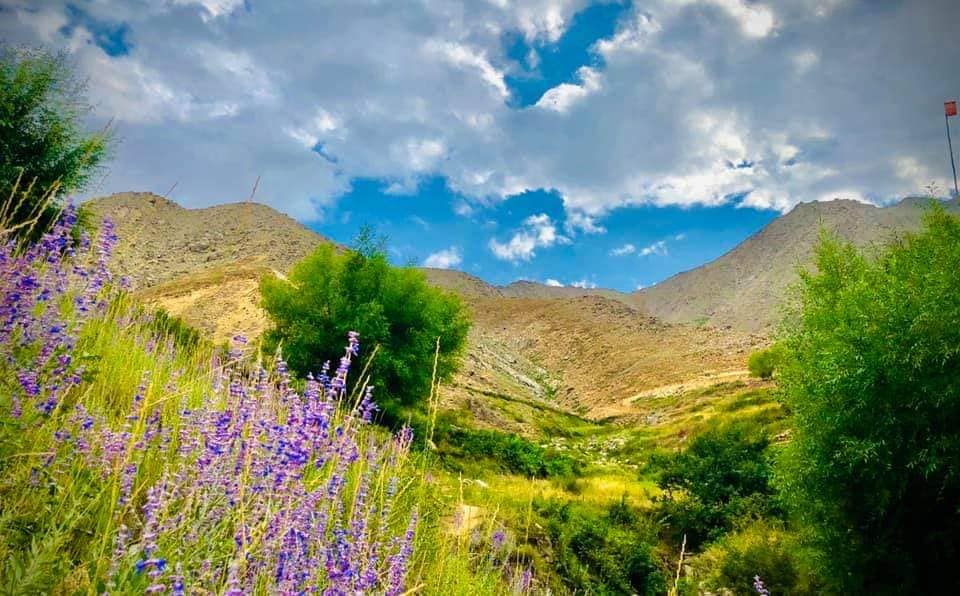 رویداد خبري آژانس