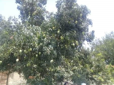 رویداد خبري آژانس