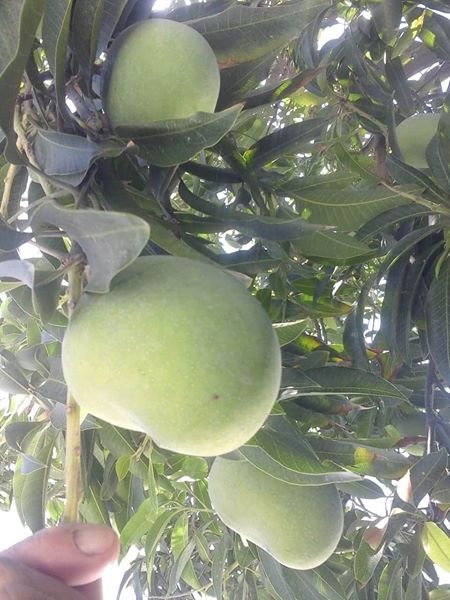 رویداد خبري آژانس
