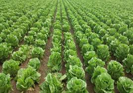 رویداد خبري آژانس