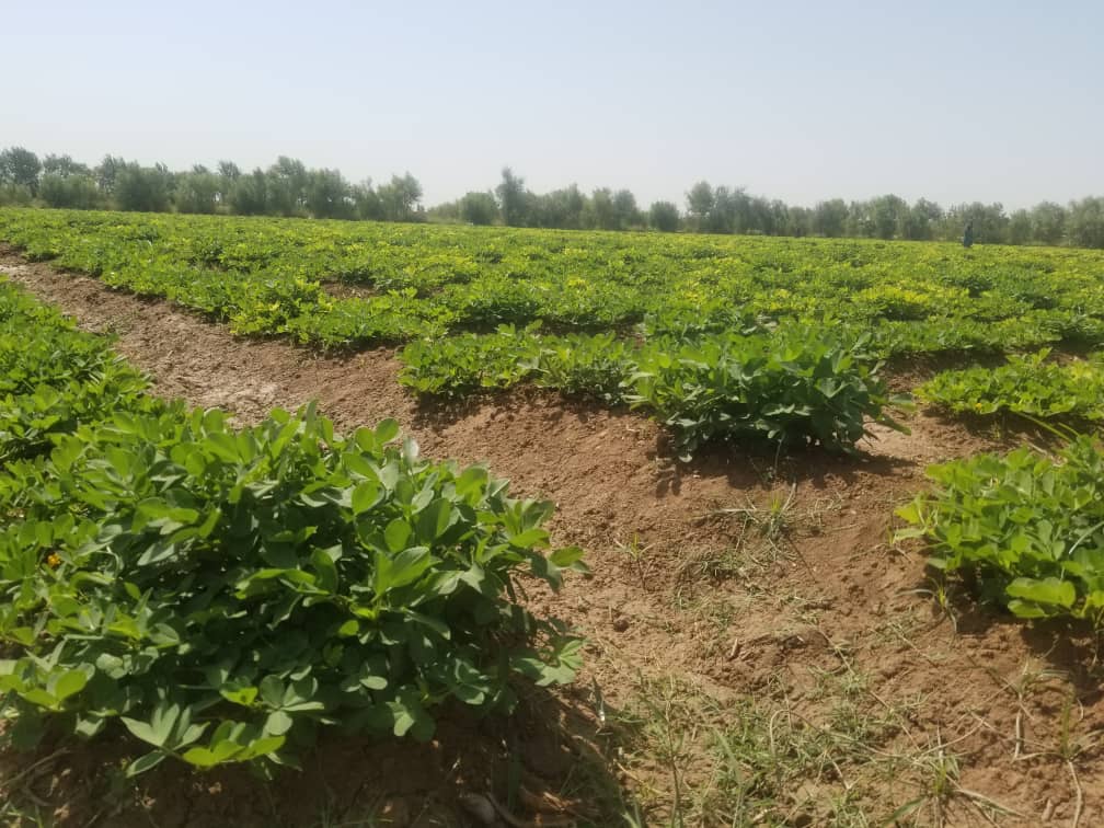 رویداد خبري آژانس