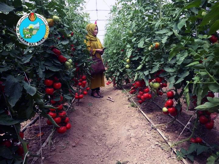 رویداد خبري آژانس