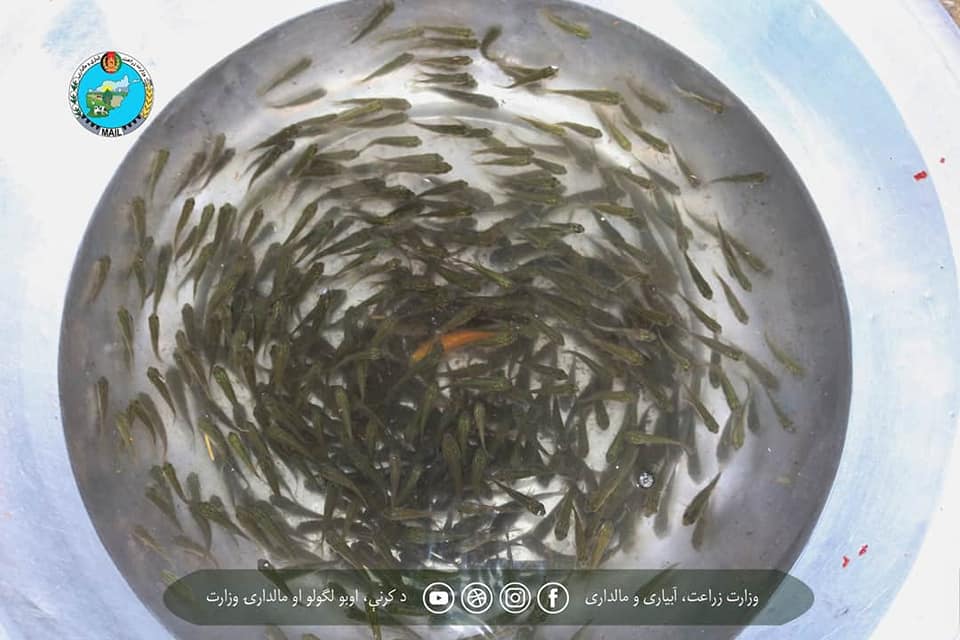 رویداد خبري آژانس