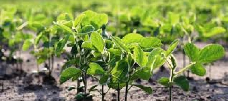 رویداد خبري آژانس