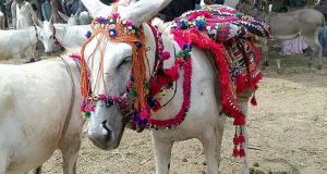 رويداد خبري اژانس