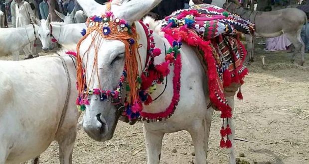 رويداد خبري اژانس