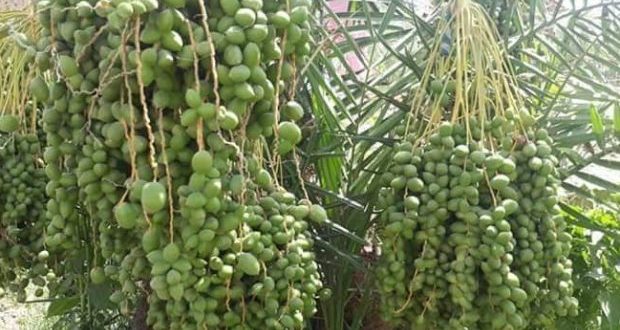 رویداد خبري آژانس