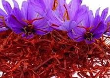 رویداد خبري آژانس