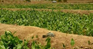 رویداد خبري آژانس