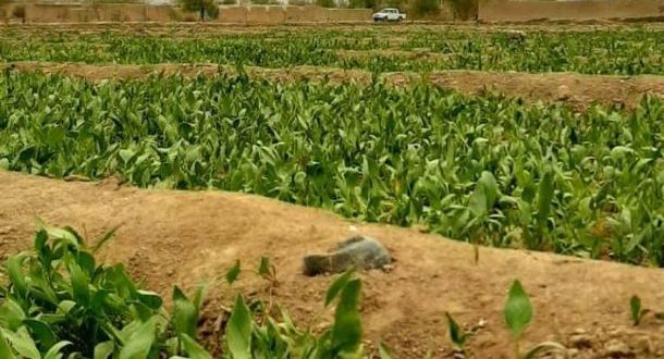 رویداد خبري آژانس