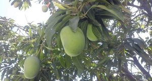 رویداد خبري آژانس