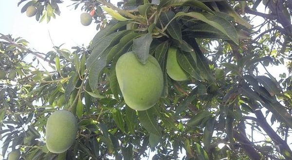 رویداد خبري آژانس