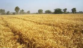 رویداد خبري آژانس