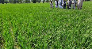 رویداد خبري آژانس