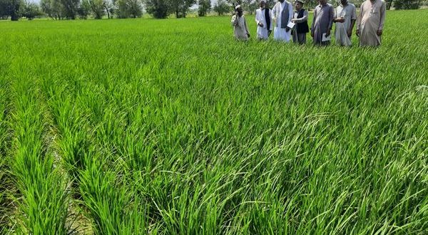 رویداد خبري آژانس