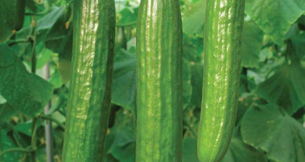 رویداد خبري آژانس