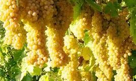 رویداد خبري آژانس