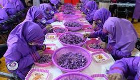 رویداد خبري آژانس