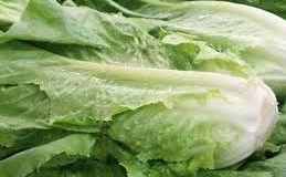 رویداد خبري آژانس