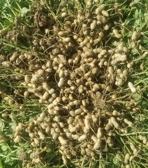 رویداد خبري آژانس