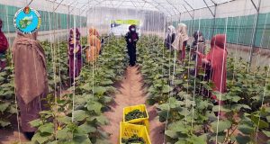 رویداد خبري آژانس