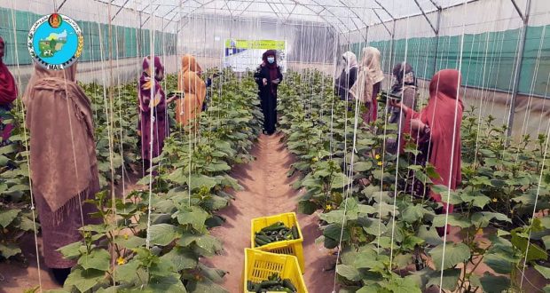 رویداد خبري آژانس