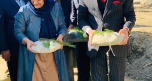 رویداد خبري آژانس