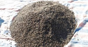 رویداد خبري آژانس