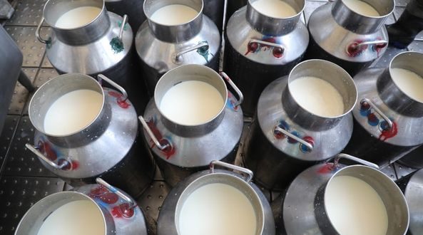 رویداد خبري آژانس