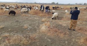 رویداد خبري آژانس