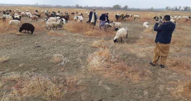 رویداد خبري آژانس