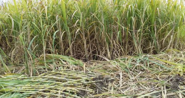 رویداد خبري آژانس