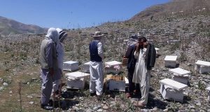 رویداد خبري آژانس