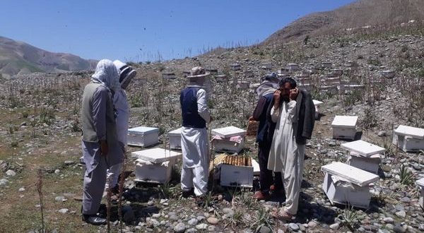 رویداد خبري آژانس