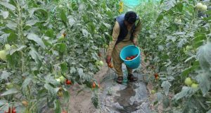 رویداد خبري آژانس