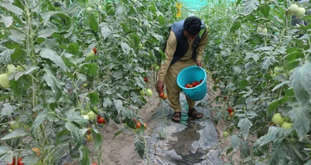 رویداد خبري آژانس