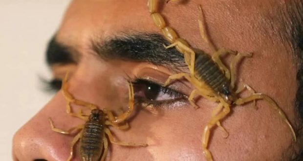 رویداد خبري آژانس