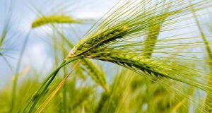 رویداد خبري آژانس