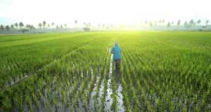 رویداد خبري آژانس