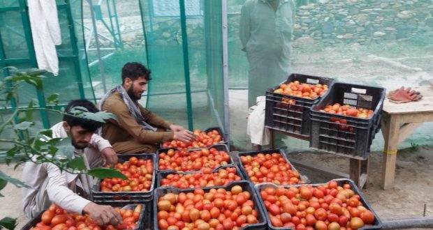 رویداد خبري آژانس