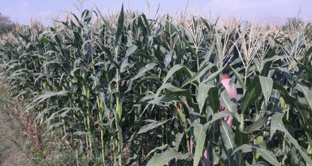 رویداد خبري آژانس