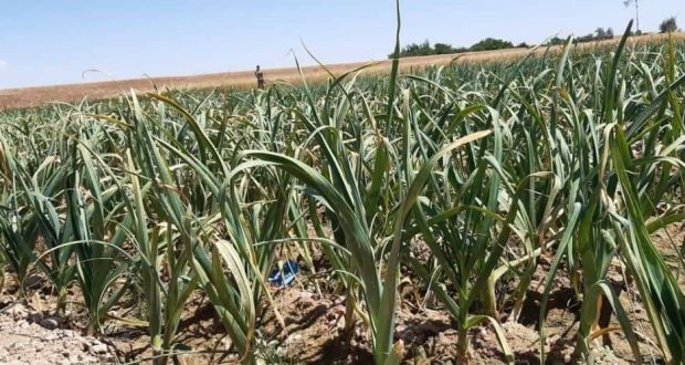 رویداد خبري آژانس