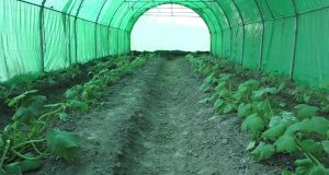 رویداد خبري آژانس