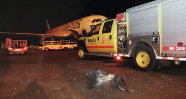 رویداد خبري آژانس