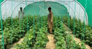 رویداد خبري آژانس