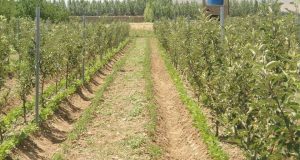 رویداد خبري آژانس