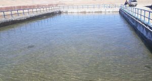 رویداد خبري آژانس