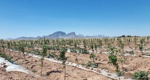 رویداد خبري آژانس