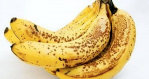 رویداد خبري آژانس